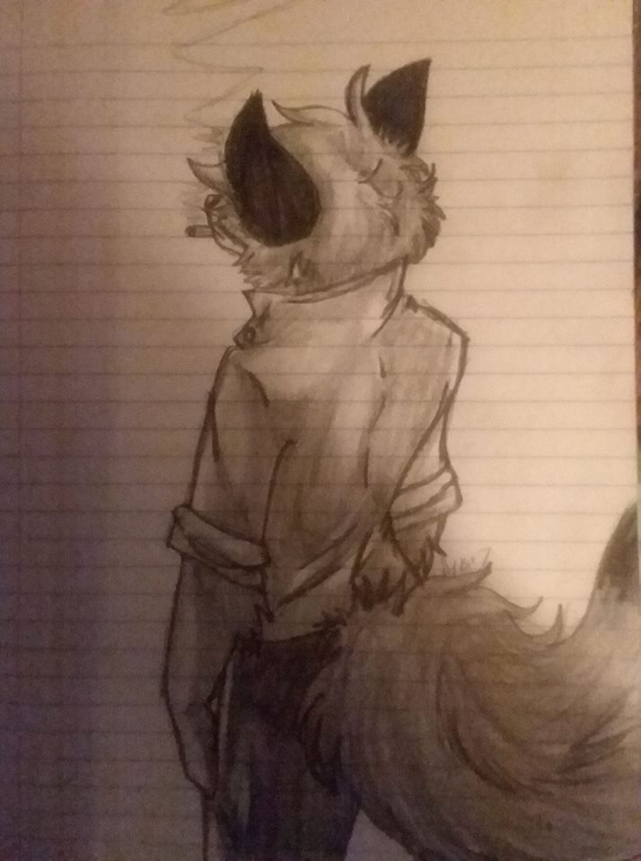 22549981 10213035584957428 7976334101903635764 N