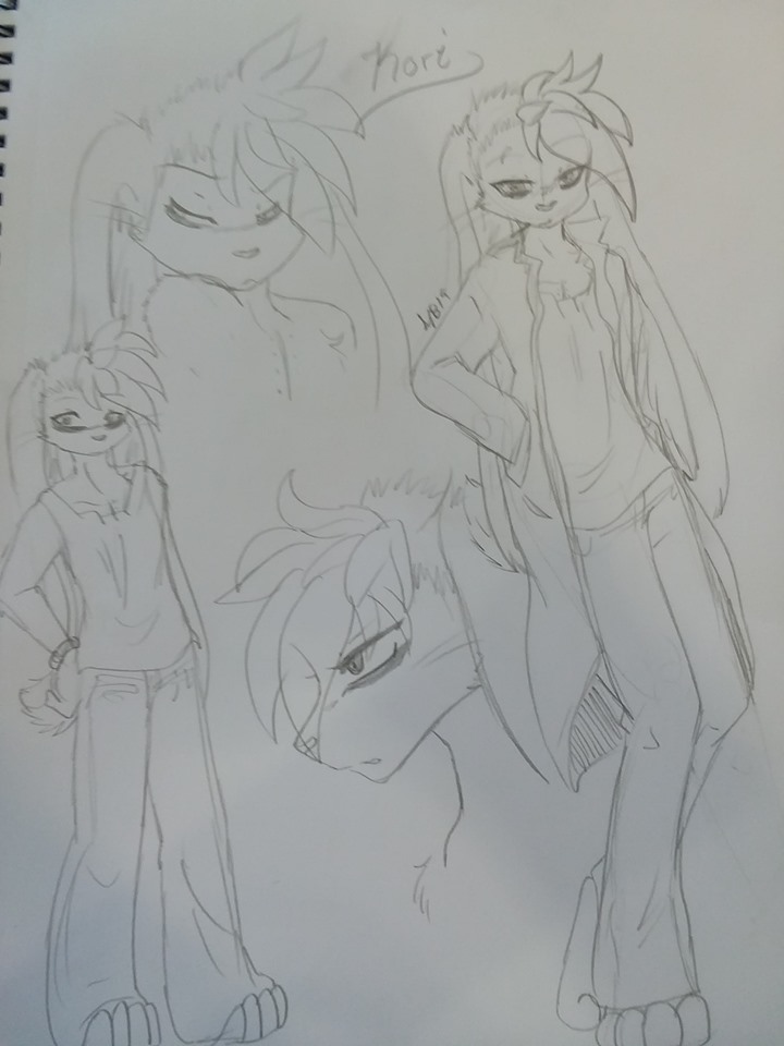 62432635 631288387339774 8981784885278539776 N