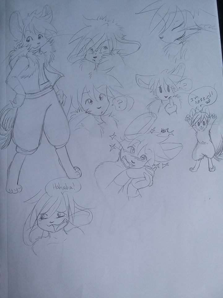 66515918 646849822450297 353222216411774976 N