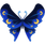 Duskwing butterfly