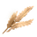 Wheat